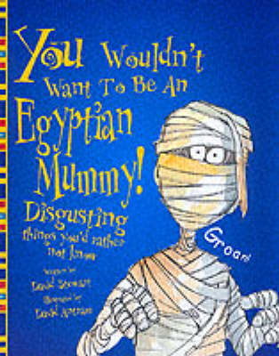 An Egyptian Mummy