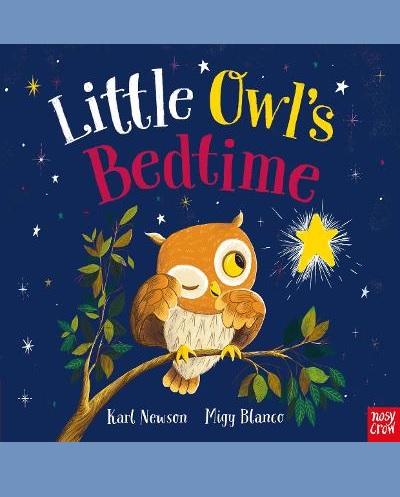 Little Owl's Bedtime (paperback)