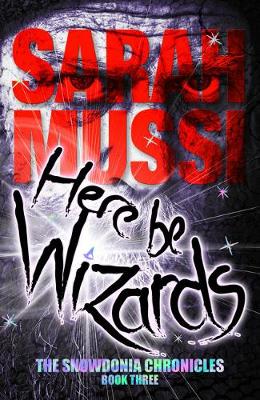 Here be Wizards: The Snowdonia Chronicles (Book Three)