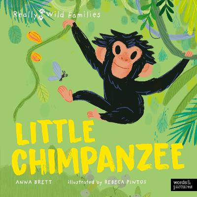 Little Chimpanzee: A Day in the Life of a Baby Chimp