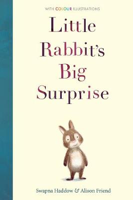 Little Rabbit's Big Surprise