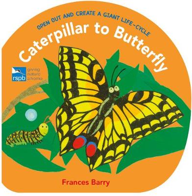 Caterpillar to Butterfly: Open Out and Create a Giant Life-Cycle