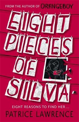 Eight Pieces of Silva: an addictive mystery that refuses to let you go ...