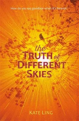 Ventura Saga: The Truth of Different Skies: Book 3