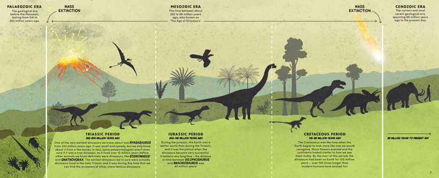Everything You Need to Know About Dinosaur