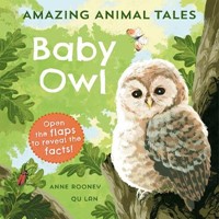 Amazing Animal Tales: Baby Owl