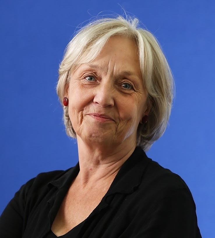 Anne Fine's blog on writing Shades of Scarlet