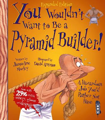 You Wouldn't Want To Be A Pyramid Builder!