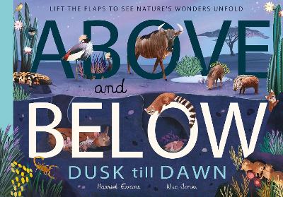 Above and Below: Dusk till Dawn: Lift the flaps to see nature's wonders unfold