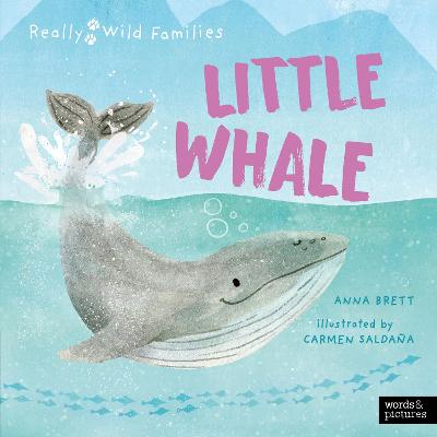 Little Whale: A Day in the Life of a Whale Calf (Really Wild Families)